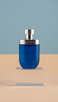 Blue Steel – Eau de Parfum – 50 ml